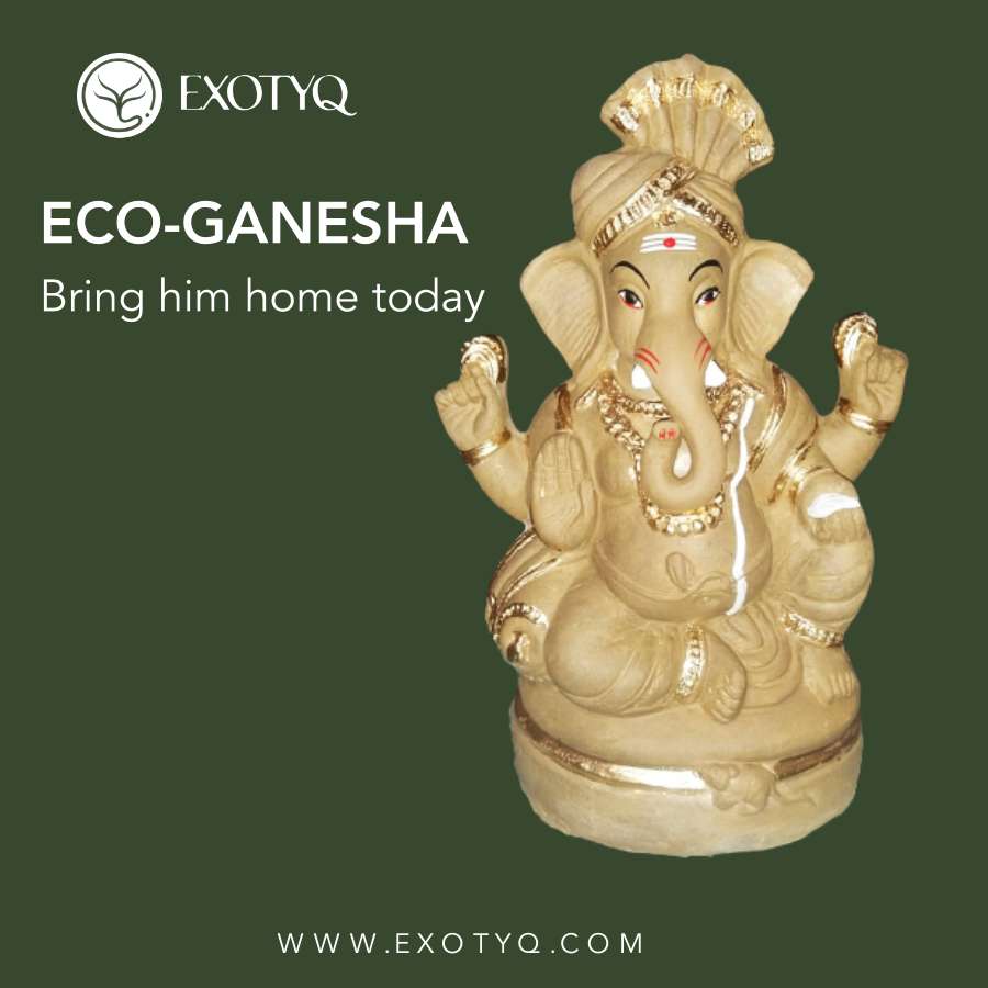 ECO FRIENDLY GANESHA