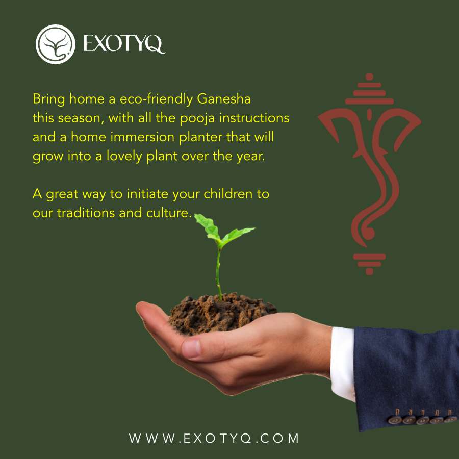 ECO FRIENDLY GANESHA WITH IMMERSION PLANTER KIT