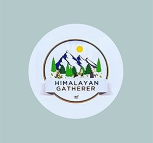 Himalayan Gatherer