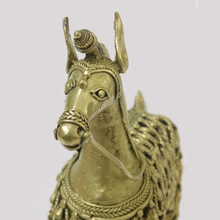 DHOKRA JAALI HORSE