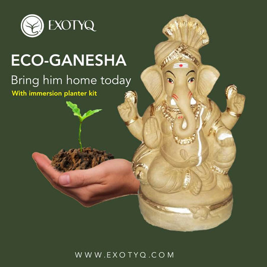 ECO FRIENDLY GANESHA WITH IMMERSION PLANTER KIT