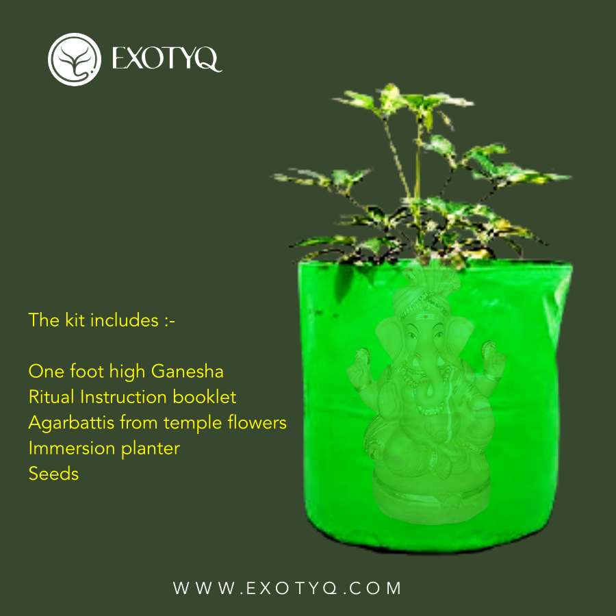 ECO FRIENDLY GANESHA WITH IMMERSION PLANTER KIT