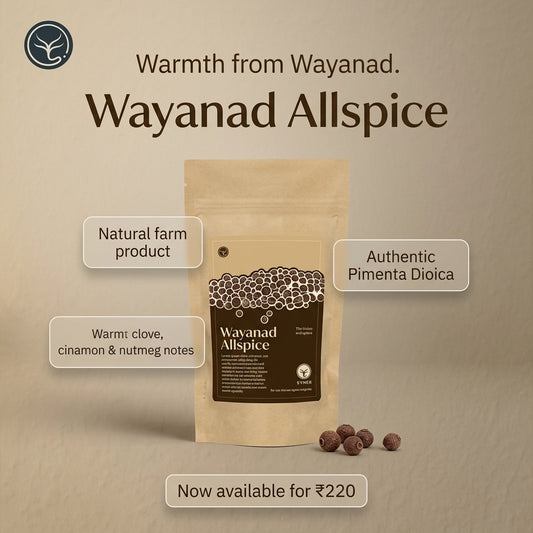 ALLSPICE OR SARVASUGANDHI